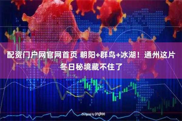 配资门户网官网首页 朝阳+群鸟+冰湖！通州这片冬日秘境藏不住了